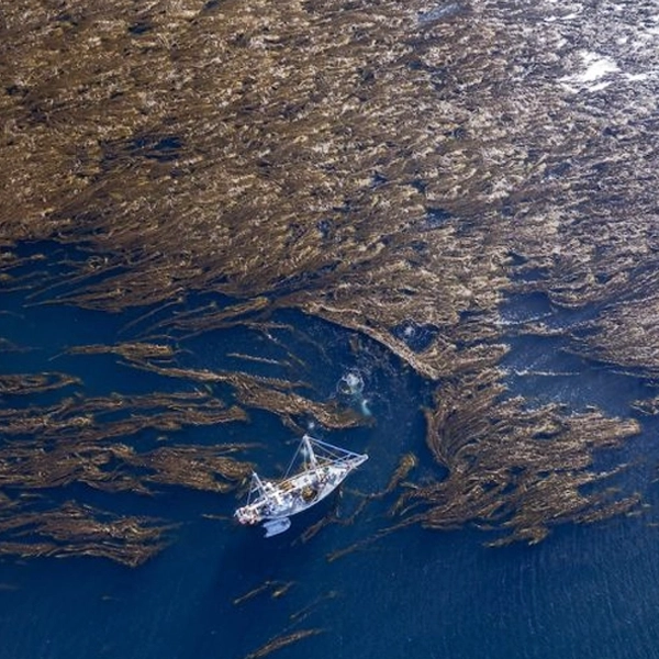 EXPEDIÇÕES NO CANAL BEAGLE NO VELEIRO KSAR Descubra a paradisíaca Terra do Fogo em uma viagem a bordo de um veleiro USHUAIA – Fim do Mundo! Expedições e Logística Combinadas No Veleiro Ksar, nossas navegações vão além do convencional. Nosso veleiro se torna sua base logística para esportes e atividades adicionais, levando você a lugares únicos e inexplorados do Canal Beagle. Imagine praticar esportes de aventura em locais remotos, com nosso veleiro como seu apoio incomparável. Cada expedição é multidimensional, oferecendo experiências que vão além da navegação. Sinta a liberdade de explorar e viva aventuras únicas com o Veleiro Ksar! Navegar no Canal Beagle no Veleiro Ksar Terra do Fogo Ushuaia – Canal Beagle – Argentina Travessias e Atividades de Vela Personalizadas NAVEGAÇÕES Já navegou de veleiro alguma vez? Descubra a magia de navegar a vela conosco no Veleiro Ksar na Terra do Fogo! Com nossas expedições, levaremos você a explorar os cantos mais espetaculares desta região única do mundo, enquanto você se mergulha na tranquilidade e beleza do Canal Beagle. Está pronto para viver uma aventura inesquecível no coração da natureza patagônica? Embarque conosco e deixe que o vento o leve a descobrir novos horizontes que você nunca imaginou viver! Se você já pensou em navegar de veleiro, entre em contato conosco. Responderemos todas as suas dúvidas. Estamos à sua espera!